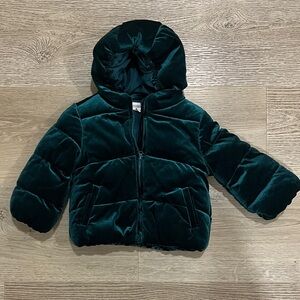 Kids Gymboree baby Velvet Green Puffer Jacket